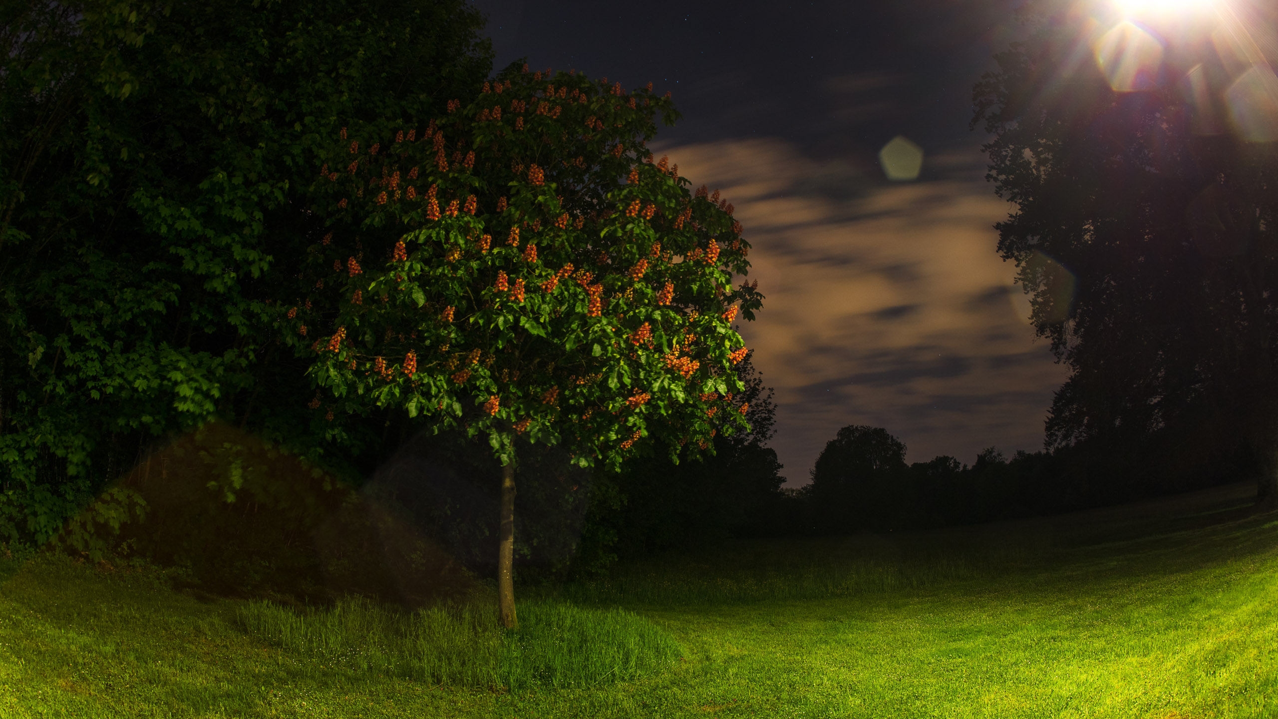 20220508000359 DP017491